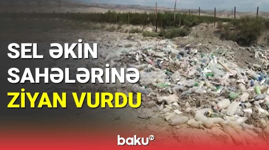 Göyçayda selin törətdiyi fəsadlar