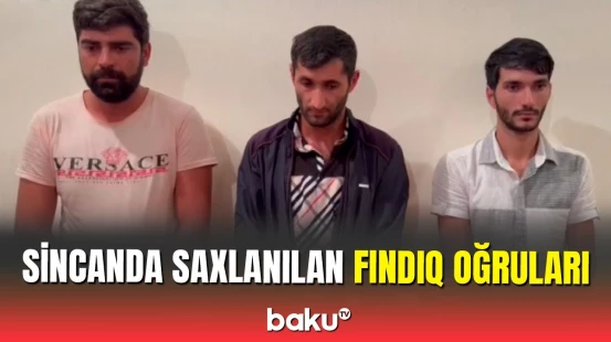 Oğuzun Sincan kəndində 3 nəfər fındıq oğrusu saxlanıldı