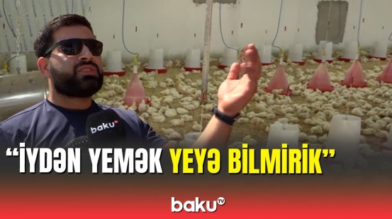 Binədə sakinlər üfunət iyi verən fermanın qapısında toplaşdı: bələdiyyədən açıqlama