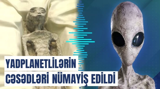 Yadplanetlilərin cəsədləri nümayiş edildi
