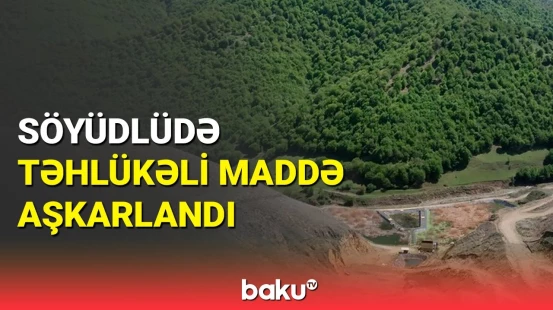 Söyüdlüdəki yoxlamaların nəticələri açıqlandı