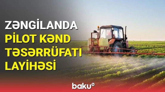 Zəngilan qida təhlükəsizliyinin təminatçısına çevrilir
