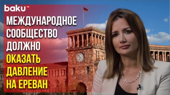 Армения должна выбрать мир и отказаться от идеологии моноэтнического общества