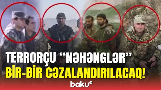 Diqqət: terrorçu Davit Manukyanın həbsi barədə yeni açıqlama
