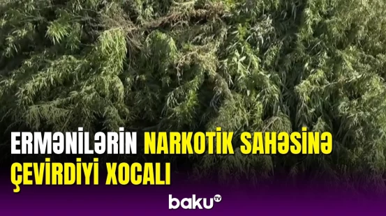 Elşad Hacıyevdən dəhşətə gətirən açıqlama: 30 illik erməni yalanları ifşa olundu