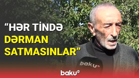 Dillərdən düşməyən Qubanın ağ almasının dəyəri düşüb: fermerlər etiraz etdi