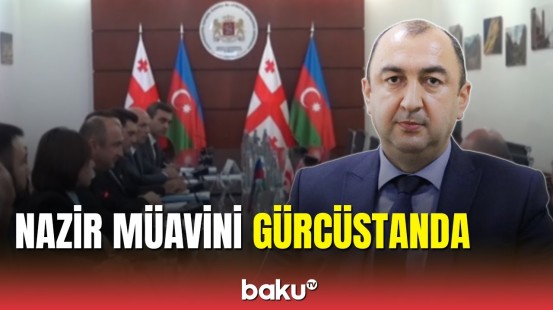 Nazir müavini Gürcüstana rəsmi səfər edib