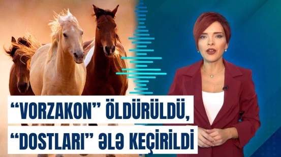 “Vorzakon” Kolbayevə ölümündən sonra yarım milyon dollarlıq zərbə