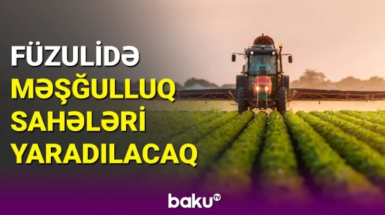 Qarabağın Azərbaycan iqtisadiyyatına verəcəyi töhfə nədən ibarətdir?