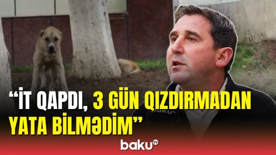 Ağsunun mərkəzində itlər "at oynadır": Kimə müraciət edirik, baxmırlar