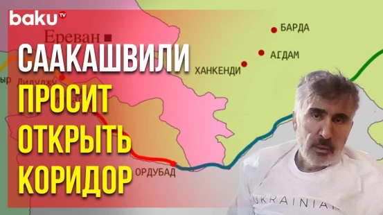 Экс-президент Грузии вновь посвятил публикацию отношениям Азербайджана и Армении