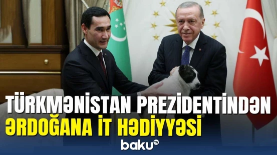 Berdiməhəmmədov Türkiyədə: Prezidentlər bir-birinə it hədiyyə etdi