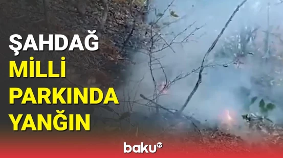 FHN-dən məlumat: Şahdağ Milli Parkında yanğın