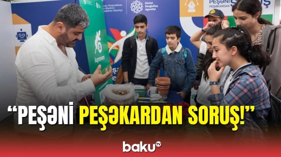 İsmayıllıda Peşələr Festivalı keçirilib