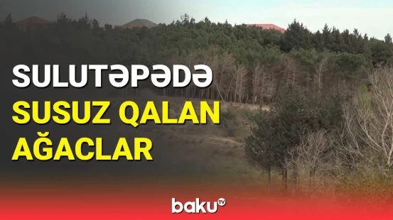 Sulutəpədə dəfələrlə yanan müəmmalı ərazi: Nazirlikdən açıqlama