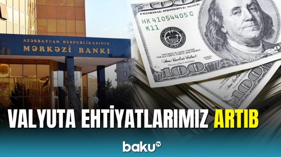 Mərkəzi Bankın vəsaitləri 10,5 milyarda çatıb