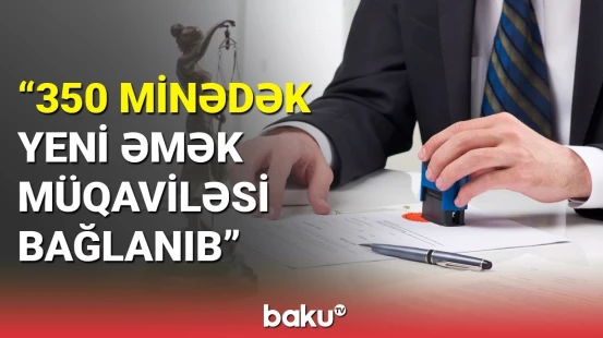 Mikayıl Cabbarov əmək bazarındakı vəziyyətdən danışdı