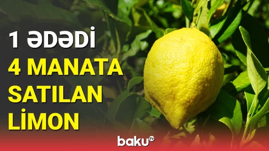 Qabıqla yeyilən, bir dənəsi 1 kq olan limonun faydaları