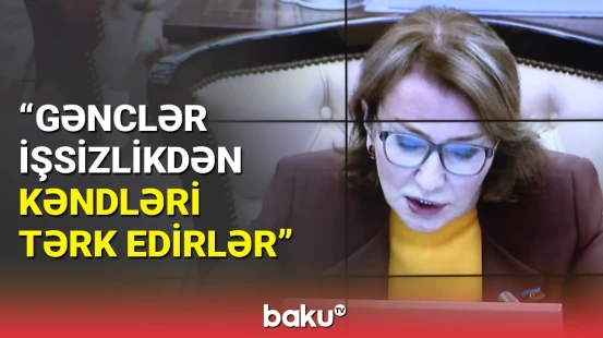 Millət vəkili aidiyyəti qurumlara səsləndi