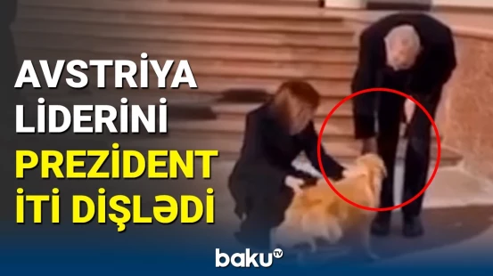 Moldova Prezidentinin iti Avstriya liderini dişlədi