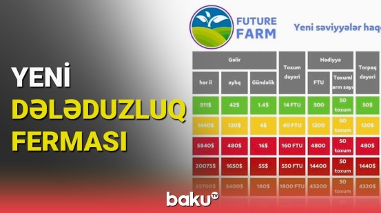 Diqqət: daha bir dələduzluq saytı peyda oldu