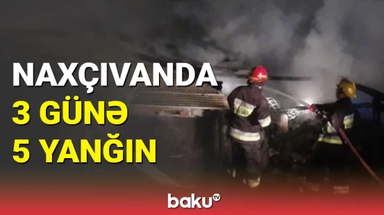 Naxçıvanda azyaşlı silsilə yanğınlara səbəb oldu: Xoşuma gəlir, yandırıram