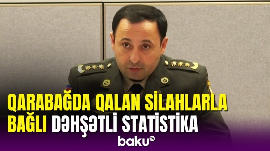 Qarabağda nə qədər silah və mina tapılıb?