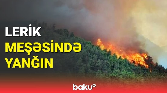 Lerikdə dağlıq-meşəlik ərazidə yanğın