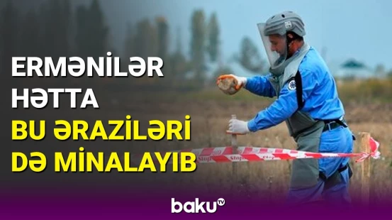 "Böyük Qayıdış" zamanı yaranan çətinliklər: Ərazilərin 80%-i minalardan təmizlənməyib