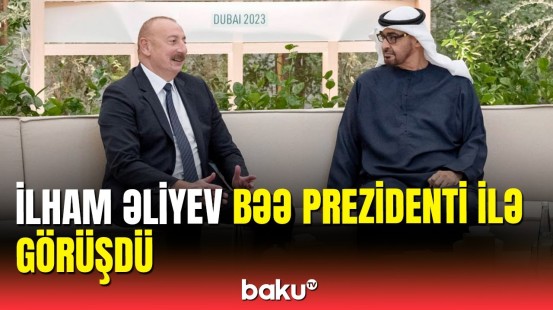 Azərbaycan dövlət başçısının BƏƏ Prezidenti ilə görüşü baş tutdu