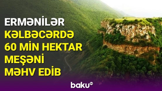 İşğaldan azad edilən ərazilərdə monitorinqlər aparılır