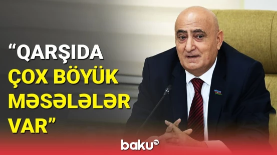 Növbədənkənar seçkiləri şərtləndirən amillər nələrdir?