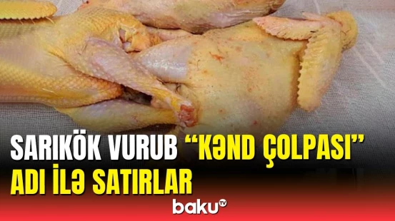 Vətəndaş şikayəti | "Kənd çolpası" adı ilə fırıldaqçılıq edildi?
