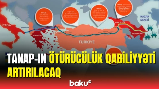 Hakan Fidan iki ölkənin enerji strategiyasından danışdı