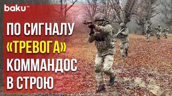 С подразделениями коммандос проведены специально-тактические учения