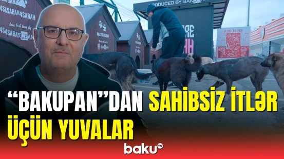 “Bakupan” "Bank Respublika Arena”da sahibsiz itlər üçün evciklər quraşdırdı