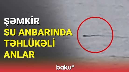 Şəmkir su anbarında ilan üzür? | Anbaan görüntülər