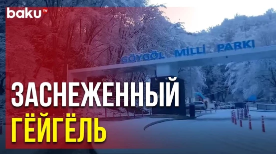 Заповедник Гёйгёль в снегу