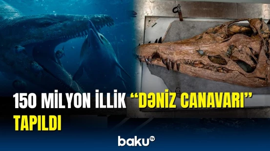 Bənzərsiz, nəhəng “dəniz canavarı” bu ölkədə tapıldı