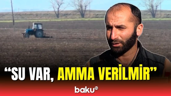 Ağstafada hektarlarla taxıl sahəsi niyə susuz qalıb?