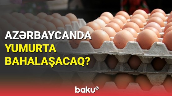 Azərbaycan Rusiyaya yumurta satışını artıracaq | Detallar açıqlandı