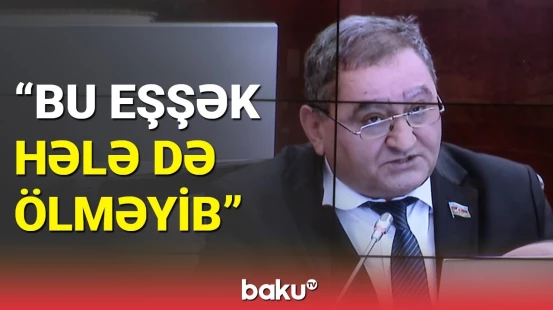 Millət vəkili iranlı politoloqa məşhur hekayəni xatırlatdı