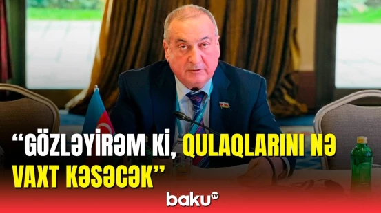 Ağsaqqallar Şurasının sədri kimlərə söz atdı?