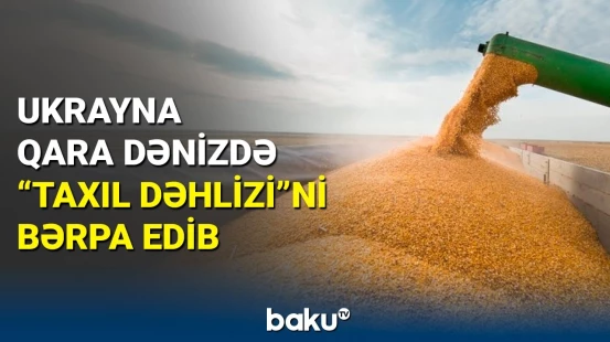 Ukrayna taxılını Qara dəniz vasitəsilə dünya bazarına çıxardı