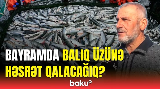 Balıq bazarında qiymətlər əl yandırır | 50 ilin balıqçısı səbəbi açıqladı
