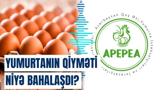 APEPEA marketləri günahlandırdı | Ölkəni yumurta qıtlığı gözləyir?