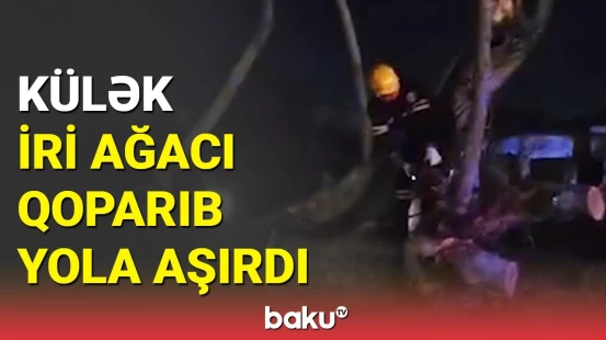 Qəbələdə güclü küləyə görə yol bağlandı, sakinlər çətinlikdə qaldı