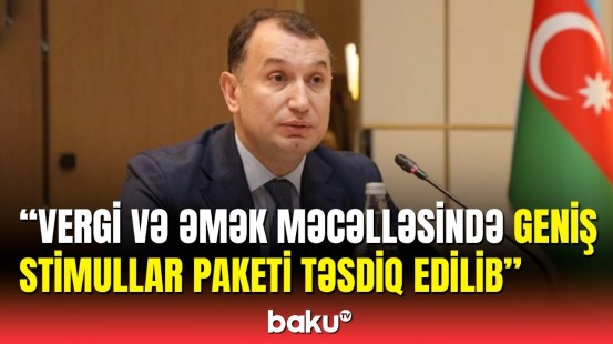 Sahib Məmmədov Qarabağda sahibkarlar üçün olacaq güzəştlərdən danışdı