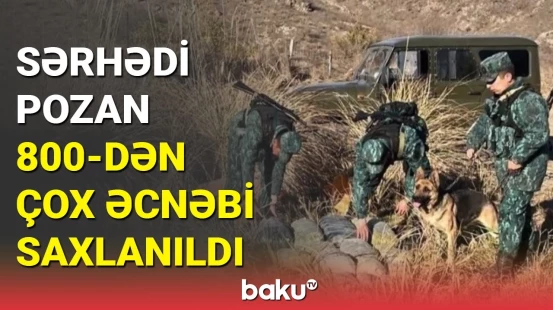 Saxta pasport düzəldib sərhədi keçənlər saxlanıldı | DSX-dən əməliyyat