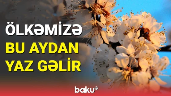 Novruz çərşənbələrinin tarixi məlum oldu